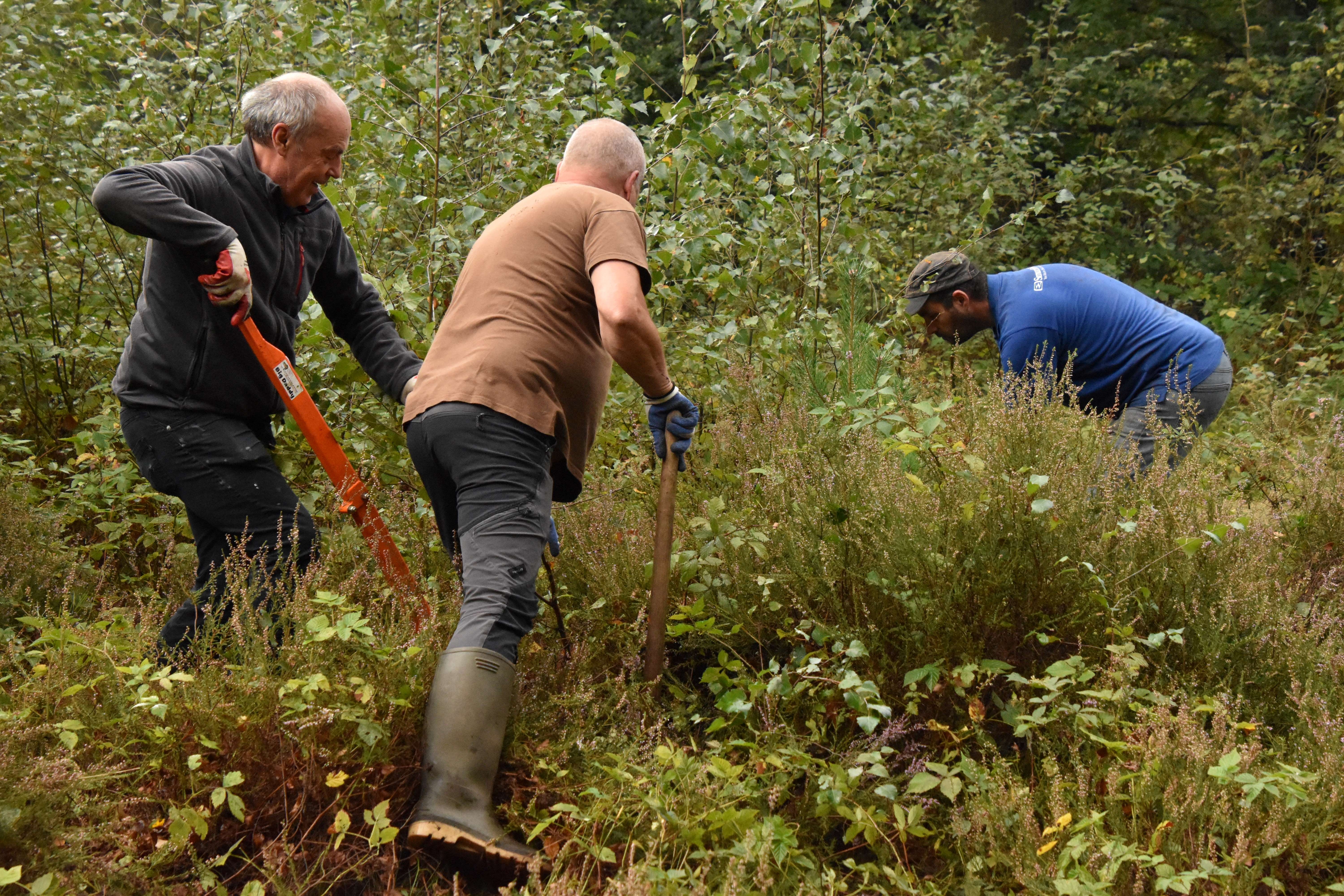 Natuurpunt Griesbroek