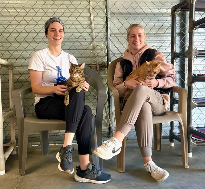 Help Blind Cats See a Future!