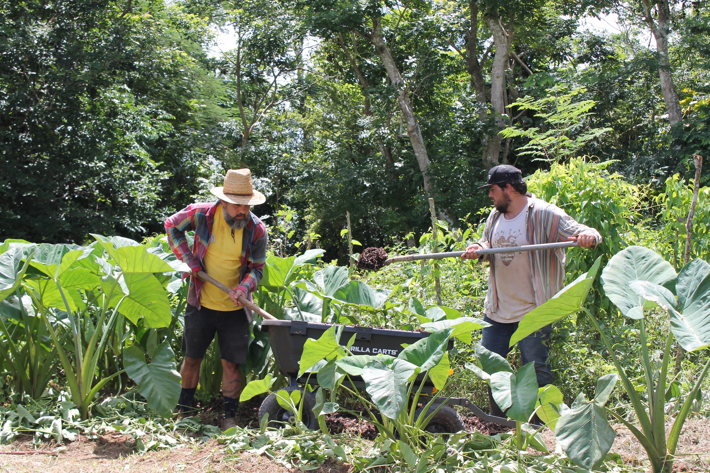 Puerto Rico's Food Sovereignty Fund