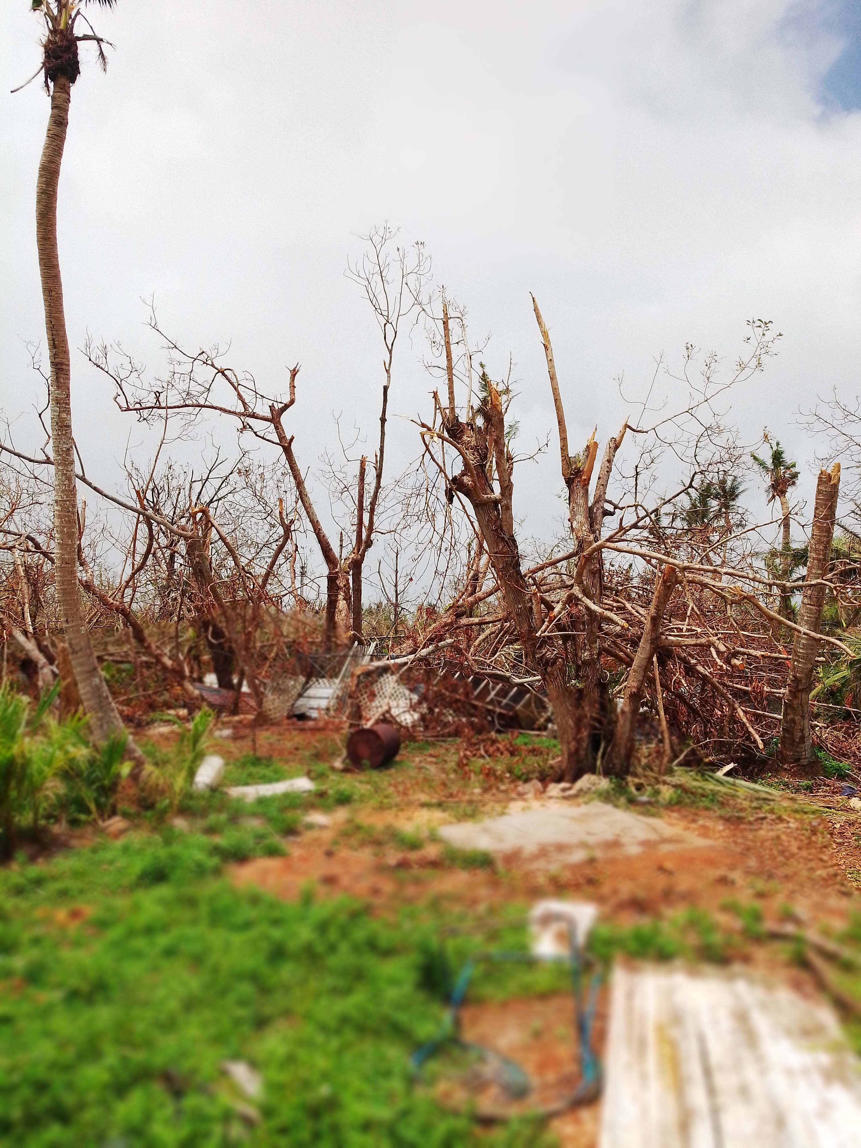 Recovery Efforts- Guam Farmers from Super Typhoon