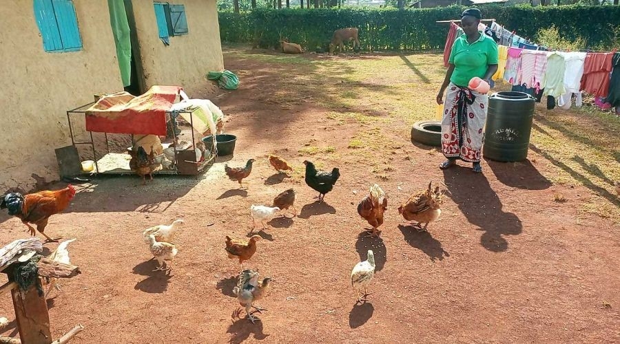 Empower 500 Women, End Poverty Cycle in Tanzania