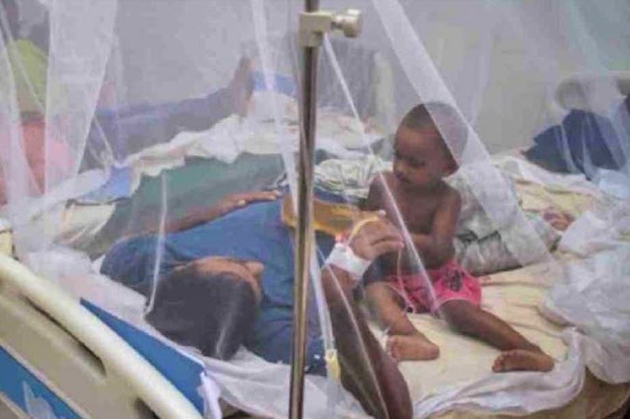 Grant Support for Dengue Outbreaks in Bangladesh