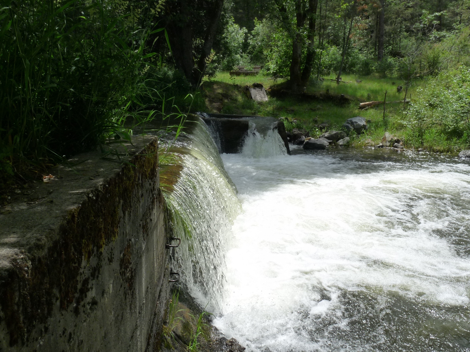 Restoring water in the Little Applegate River 