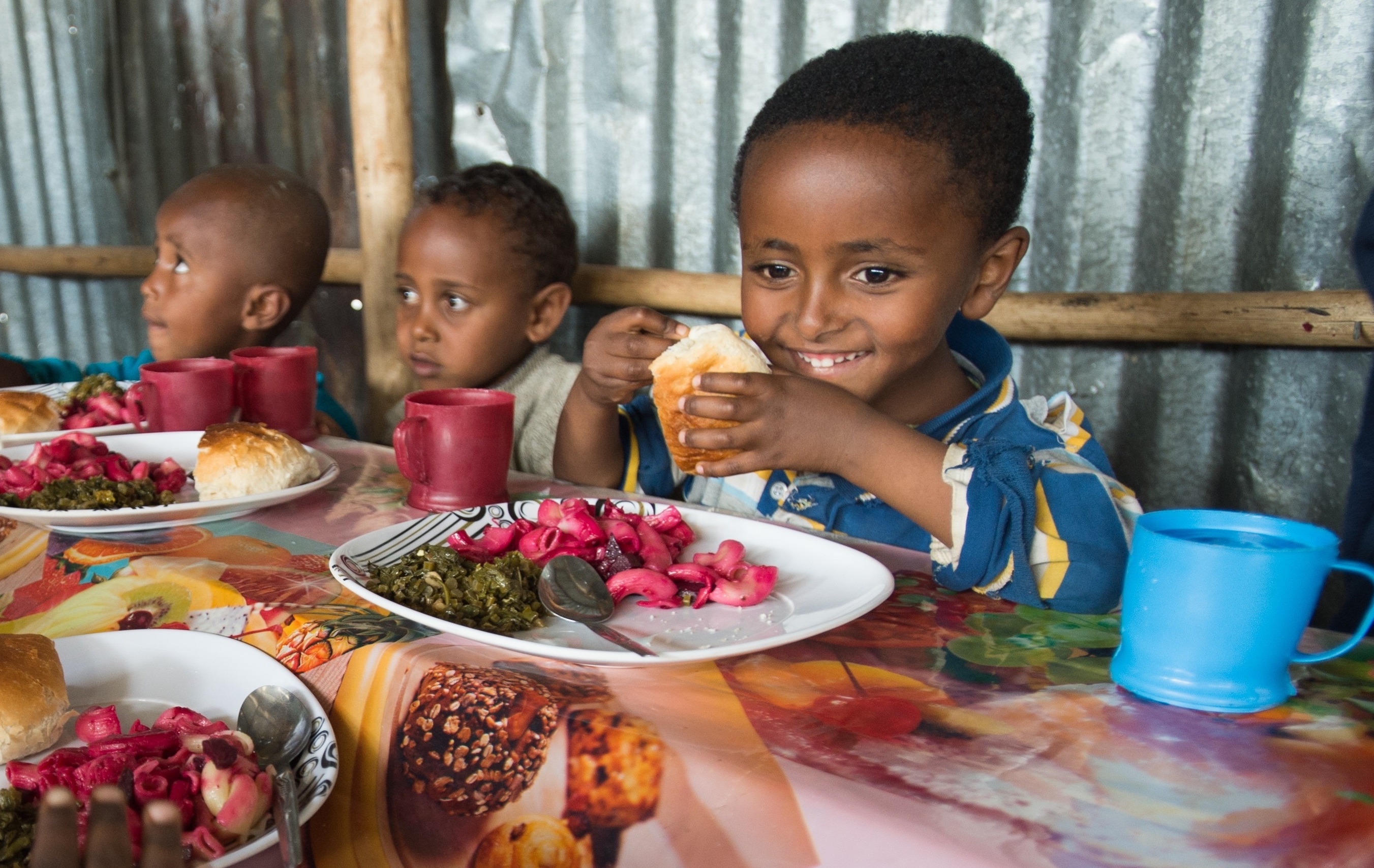 Feed Hungry Children Plant-Based School Meals