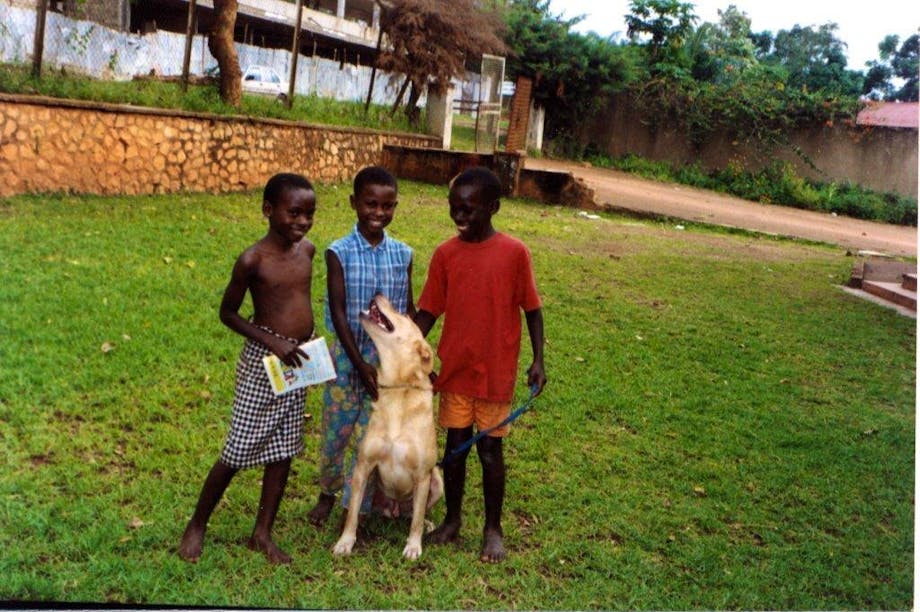 Spotlight: Animal Kind International’s Focused Grant for Domestic Animal Welfare in Africa and the Caribbean & Latin America