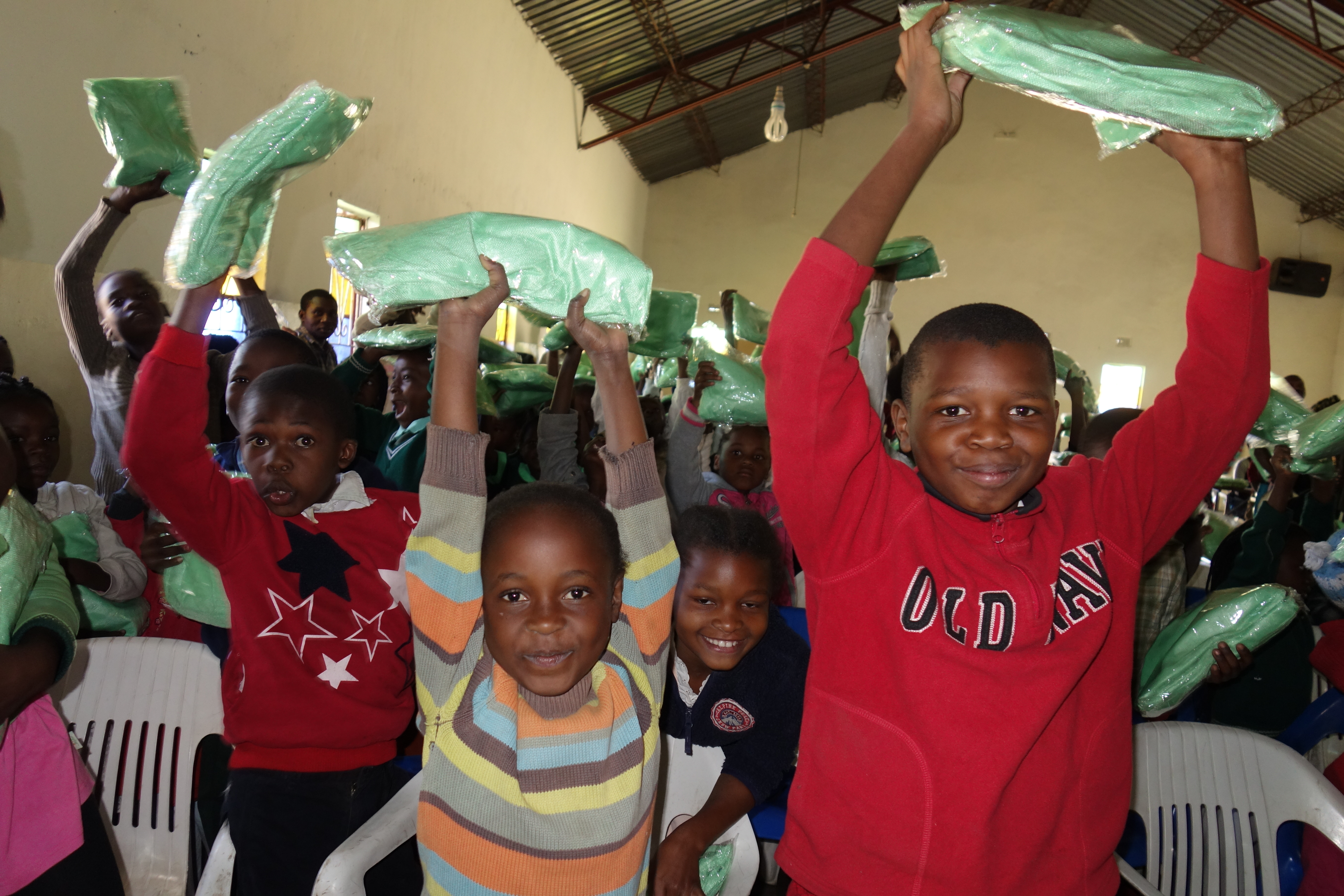 Project Mosquito Nets