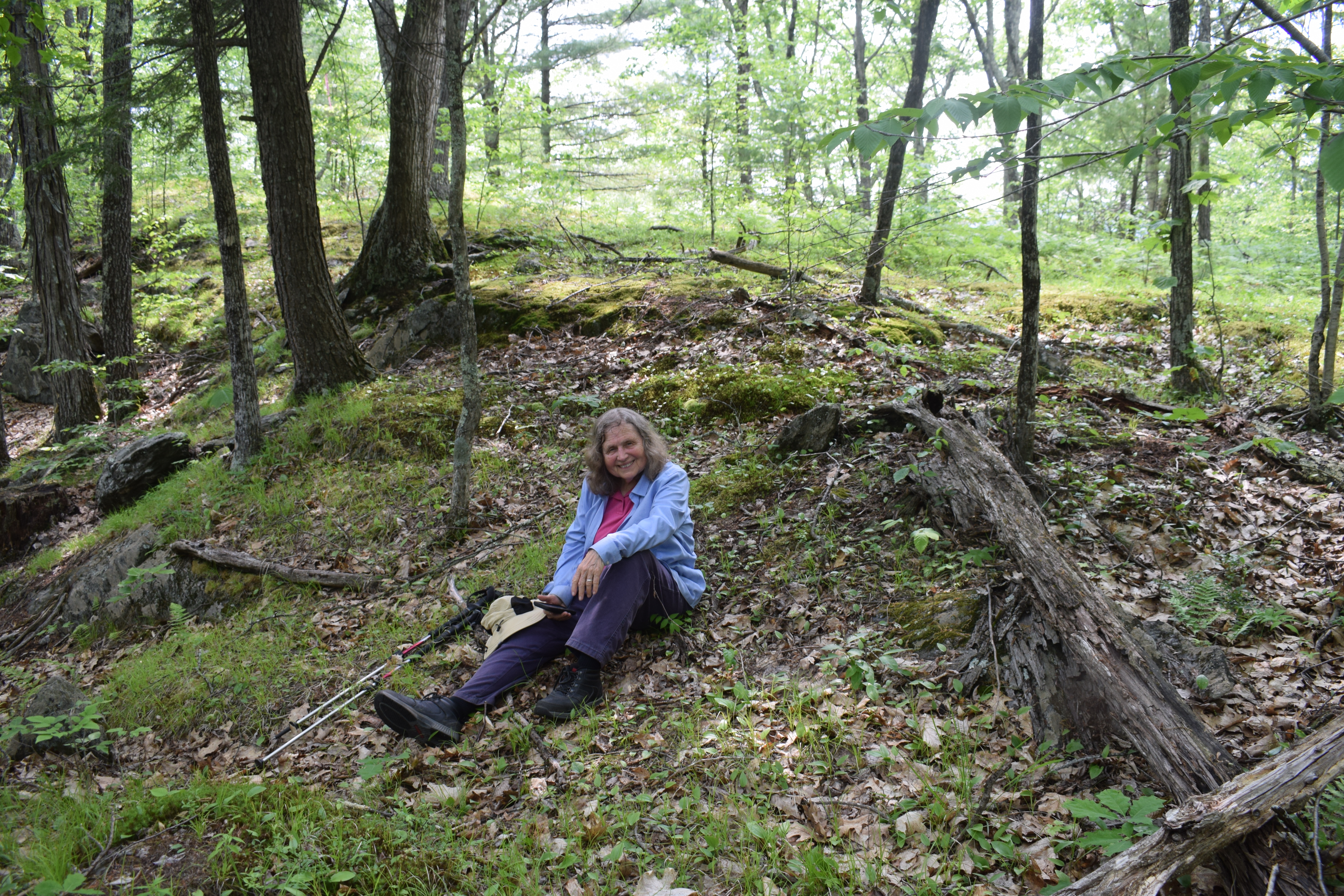 Deer Run Nature Preserve Phase III