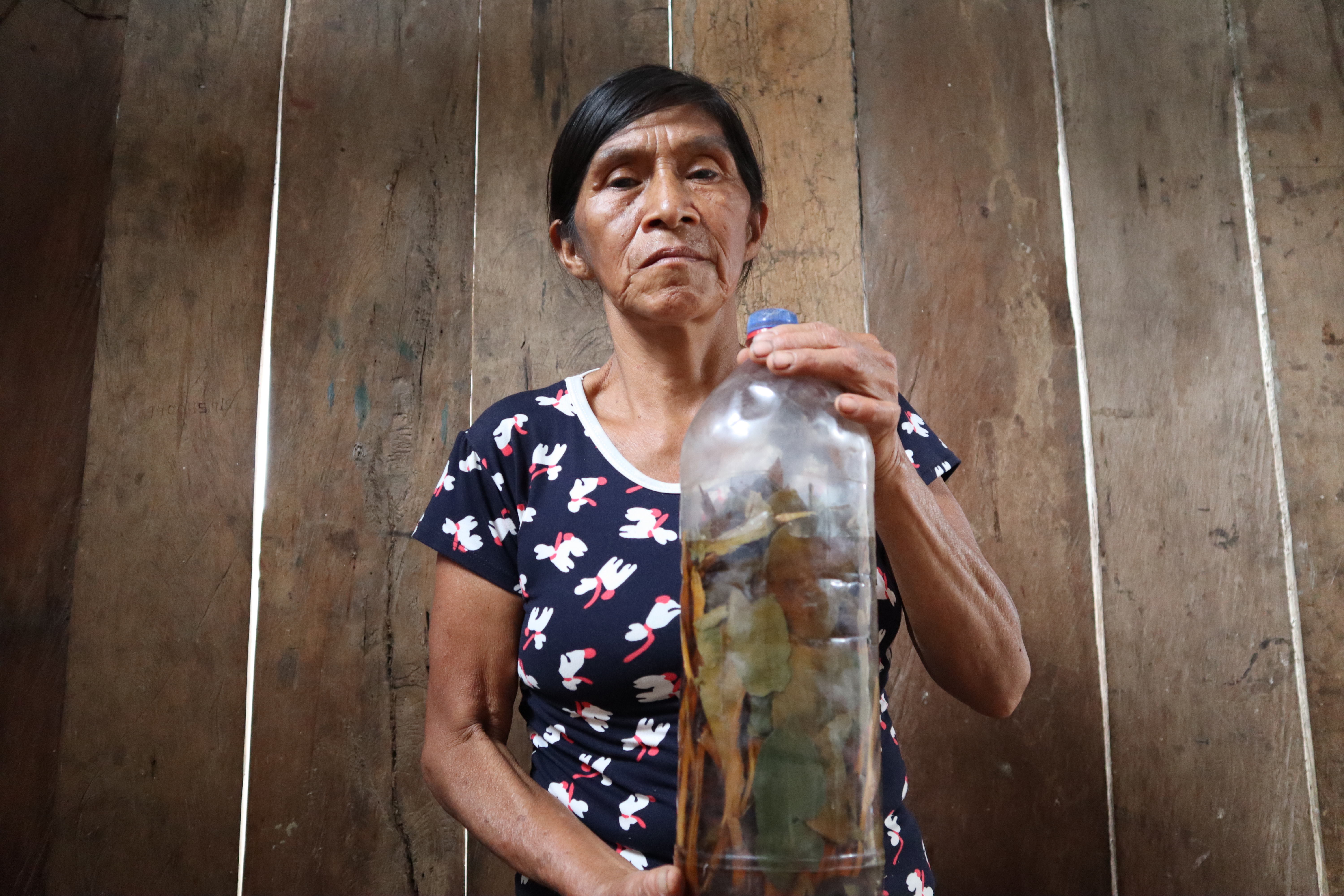Awajun Women's Ancestral Medicine Revival