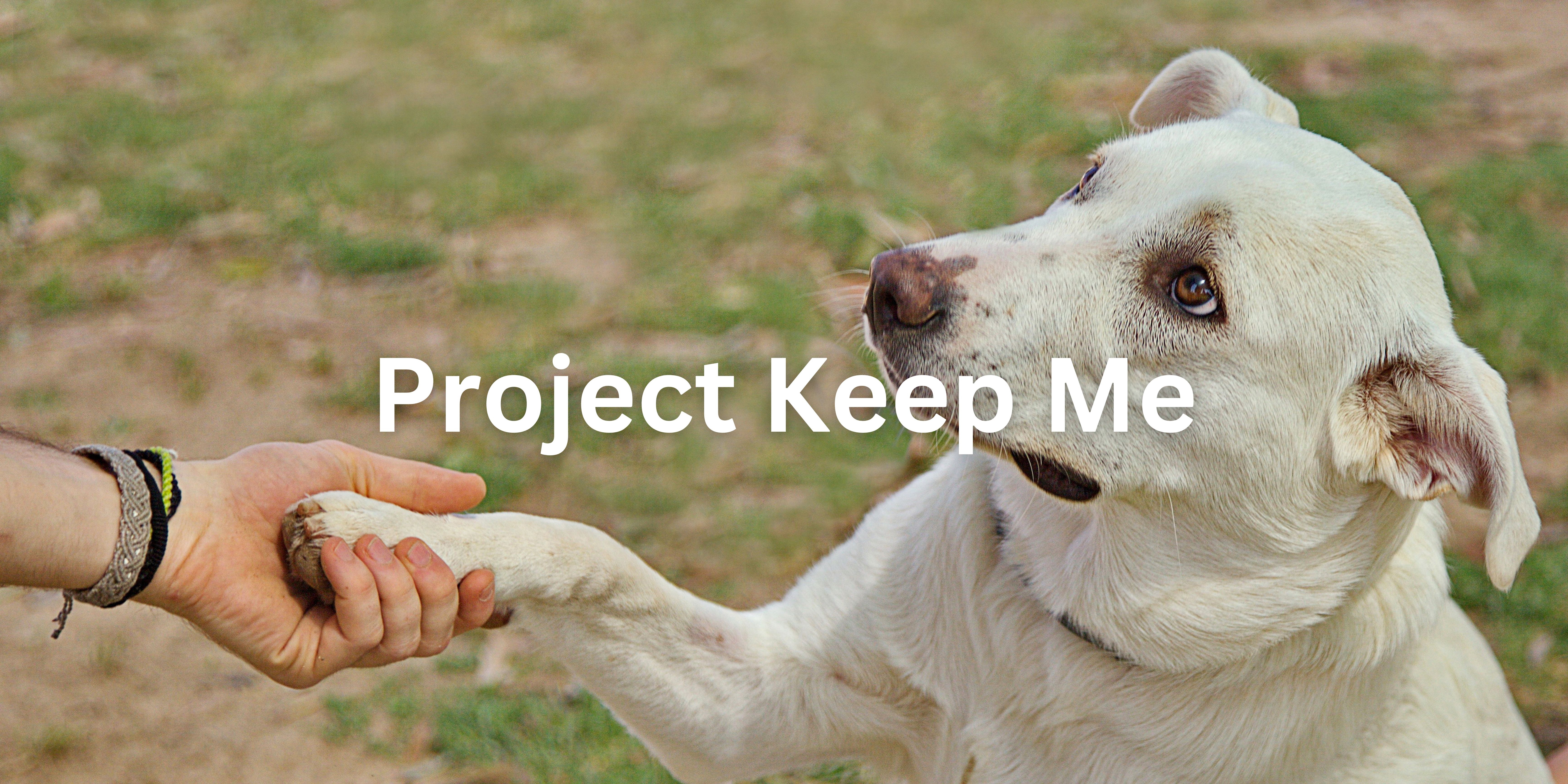 Safe Haven for Pets of Domestic Violence Survivors