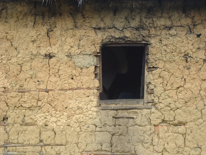 Halt Lighting Deprivation