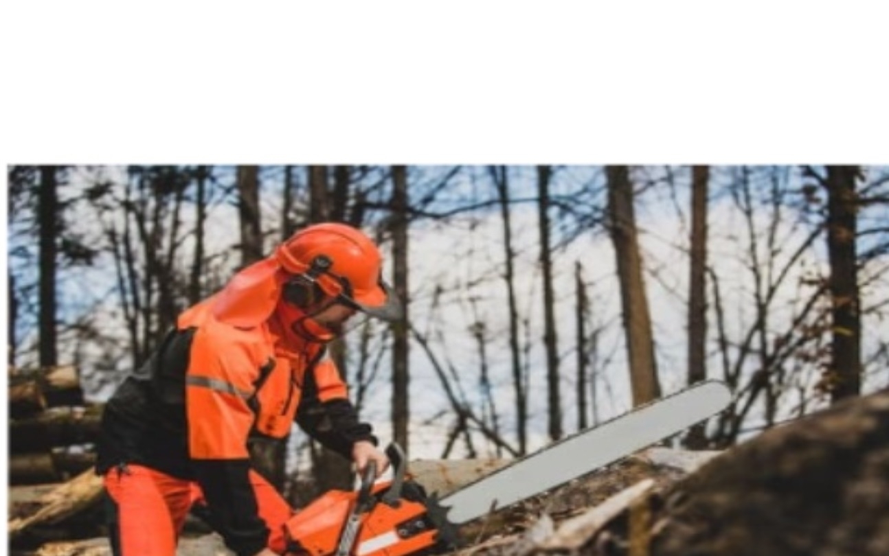 Monument Mitigation - Wildfire Clean up