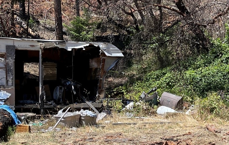 Resilience: Monument Wildfire Recovery Project