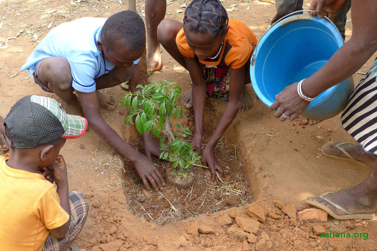 Reforestation 2.0 in our villages in Madagascar
