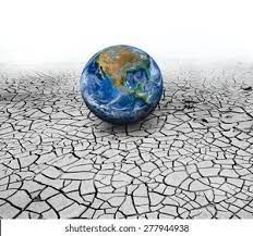 Promote Green Environment Through tree plantation