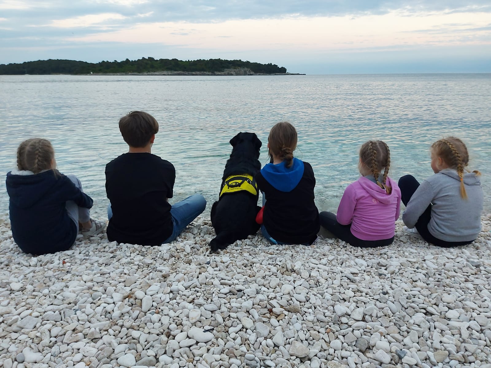 Help children and youths get assistance dogs