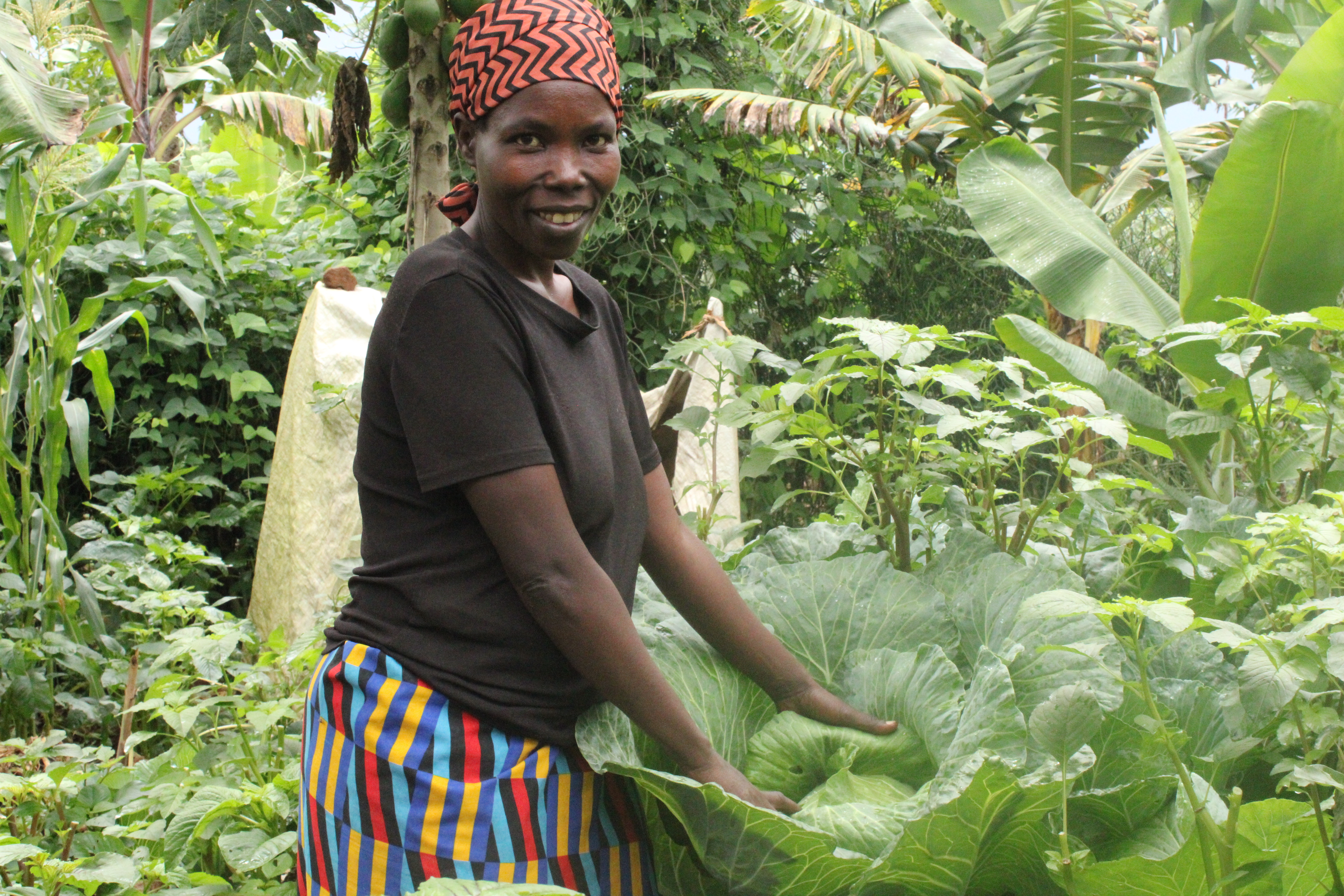 Help a Refugee Mother Feed Her Children