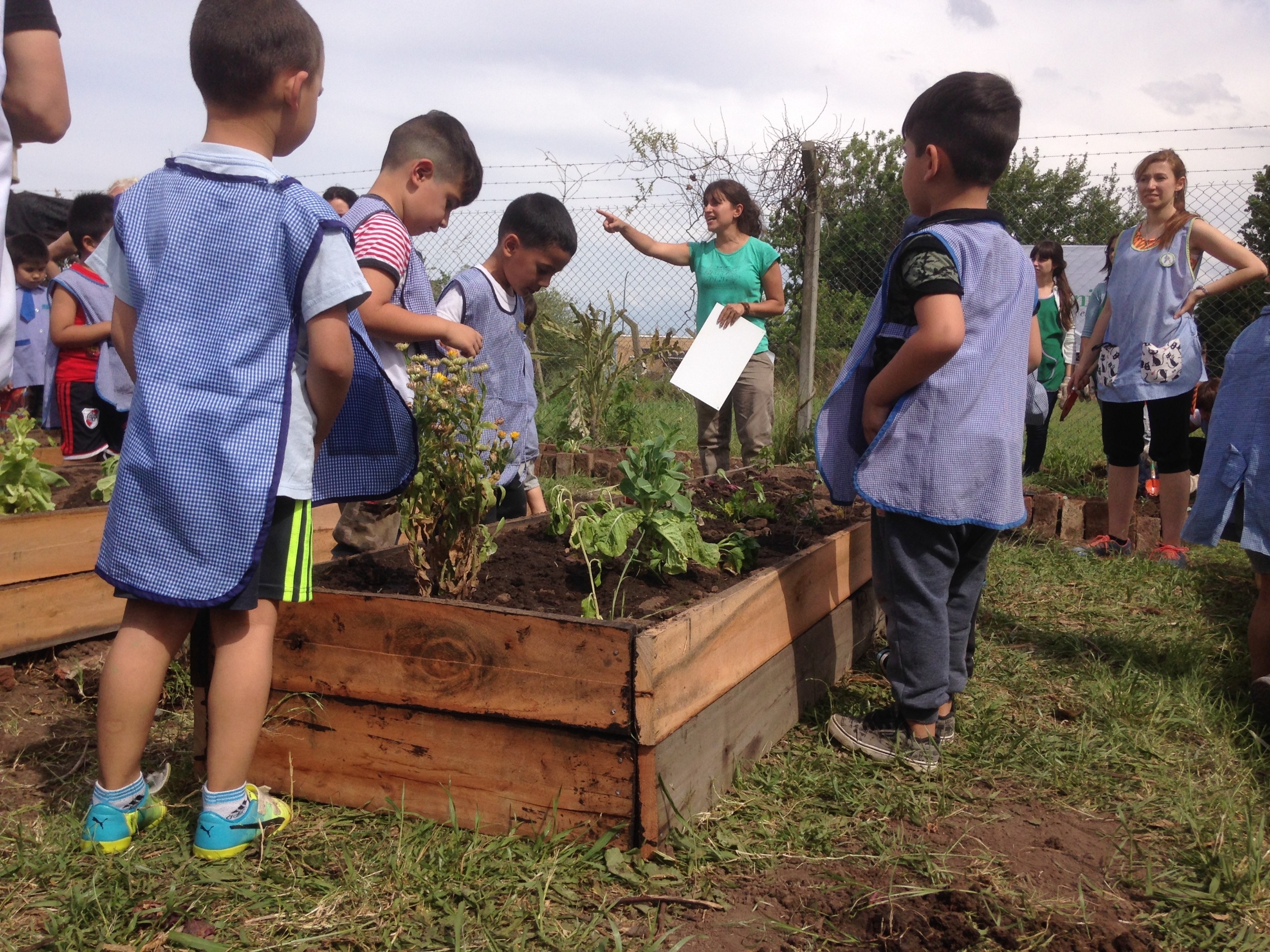 2,410 Children benefited with 10 Vegetable Gardens