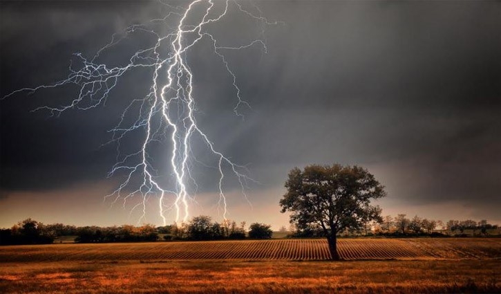 Safe life from the thunderstorms with plants