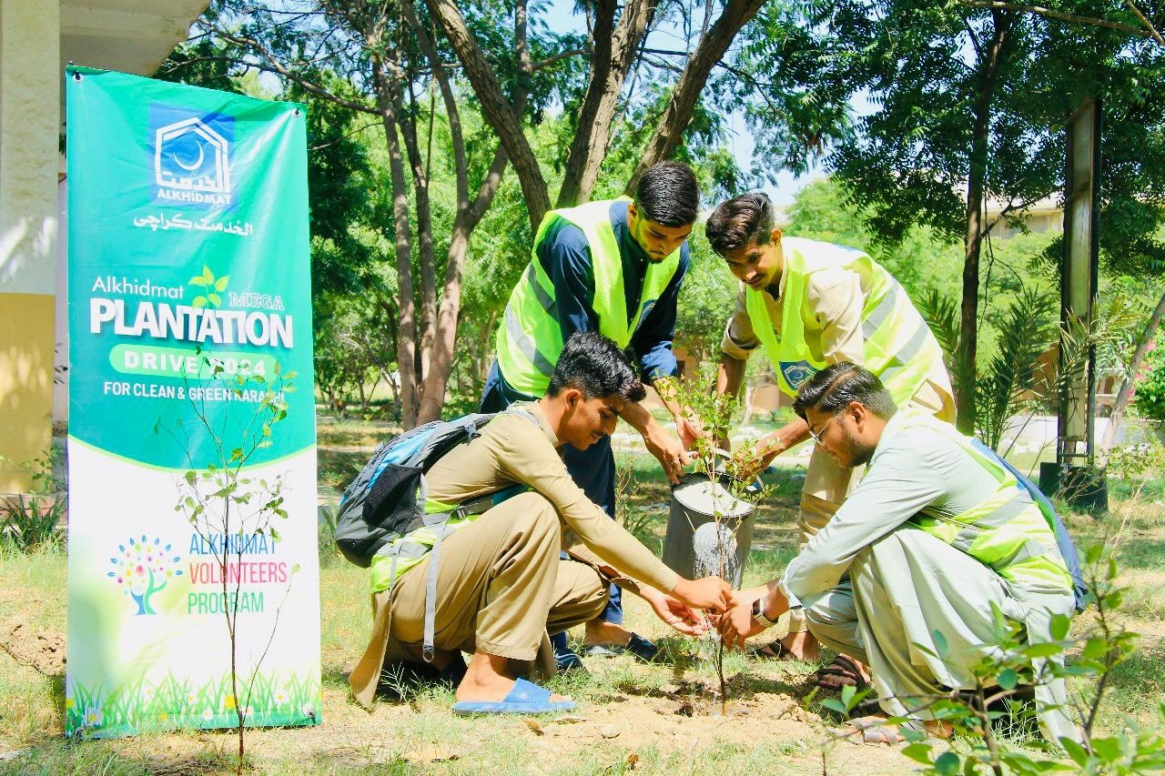 "Plant a Tree in Pakistan for $1"