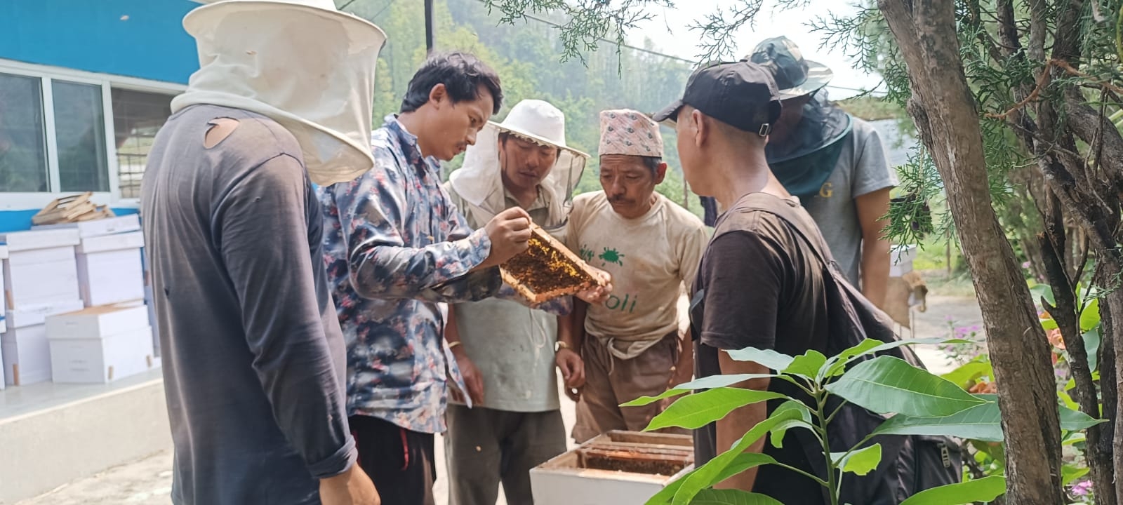 Beekeeping Initiative