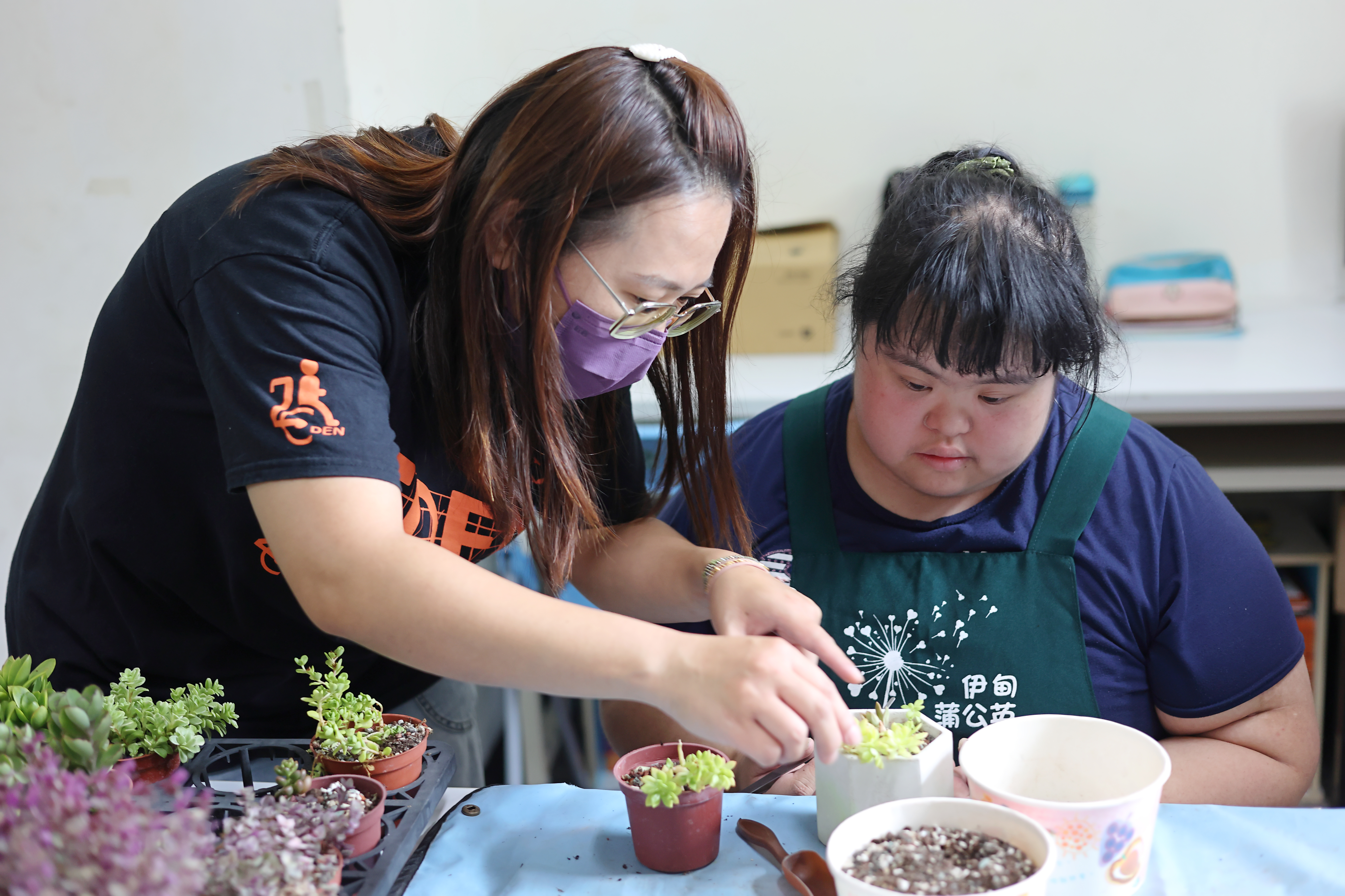 Long-term Care Project for the Disabled People