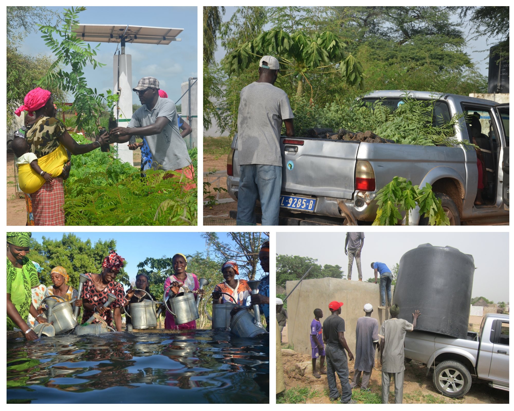 Drive CREATE! Team's Success