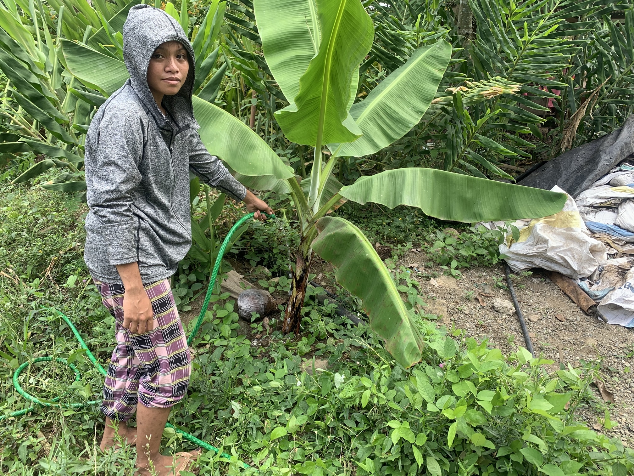 Food Security for 150 Poor Women