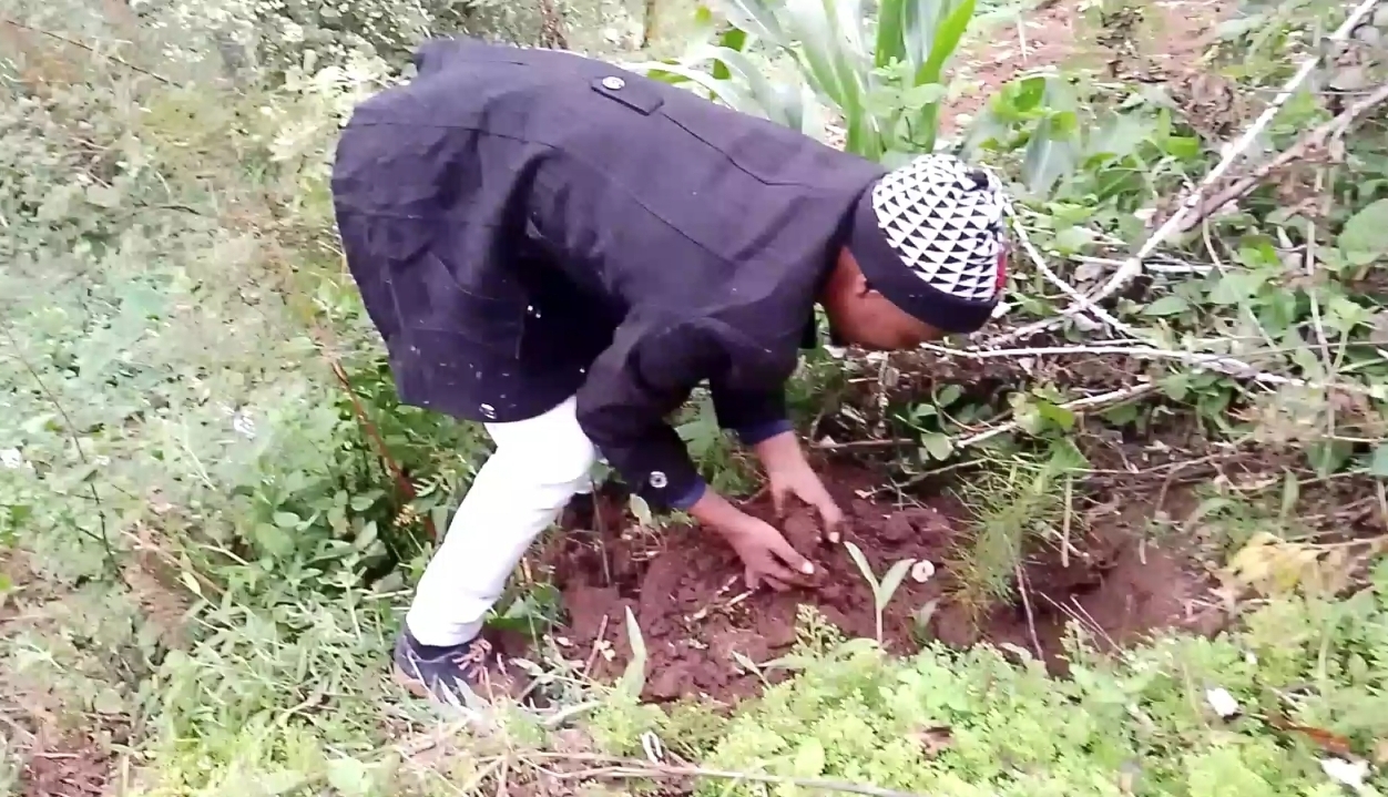 Plant 20000 Trees to Restore Saadani Nature Forest