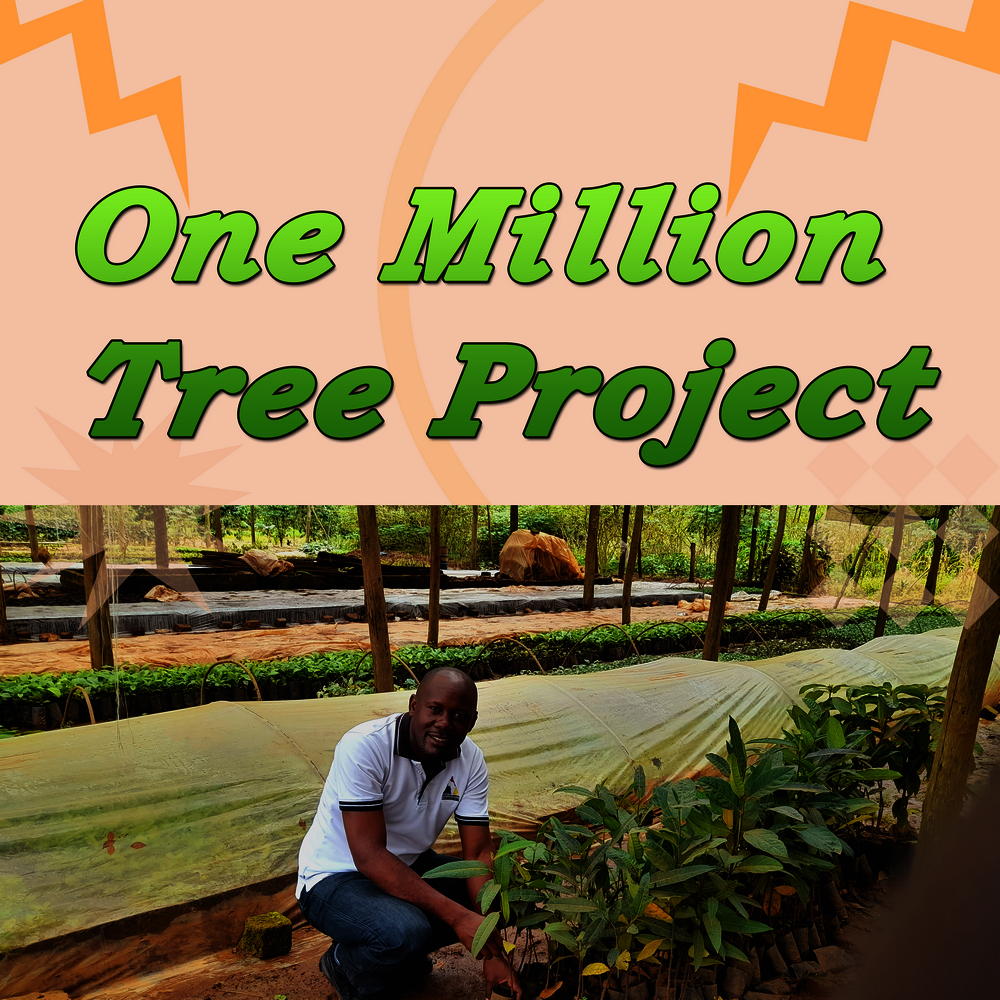 One Million Tree Project