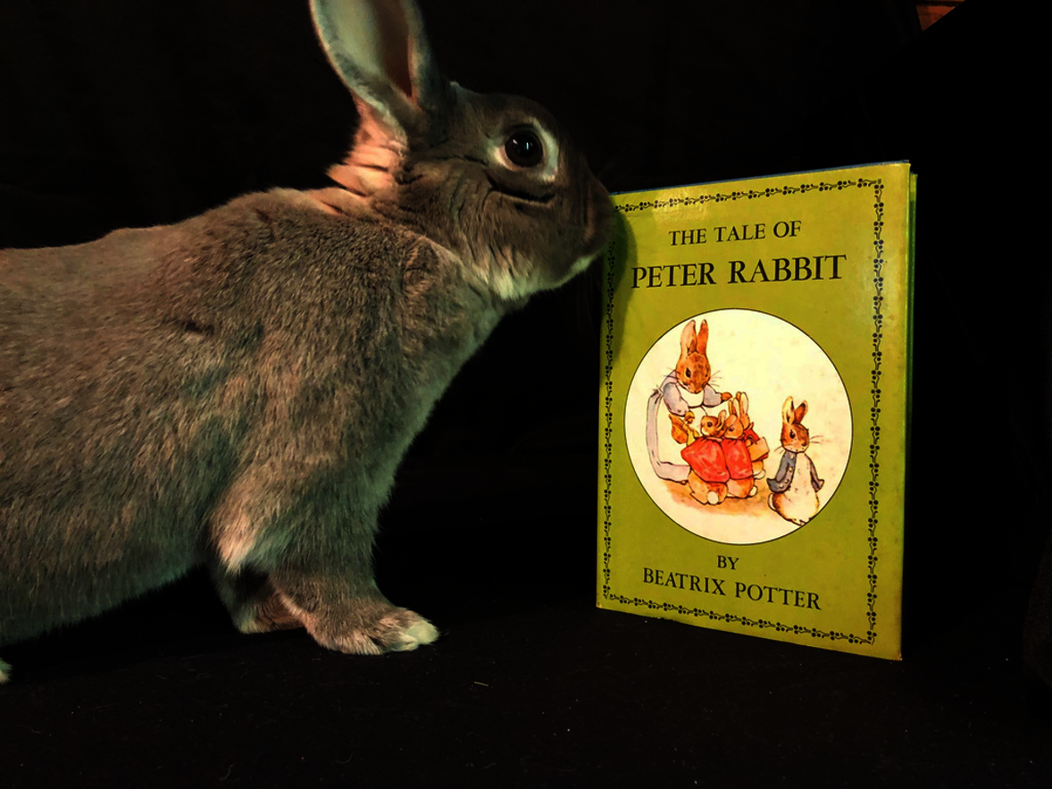 Nature's Wild Bookshelf: A Literacy Initiative