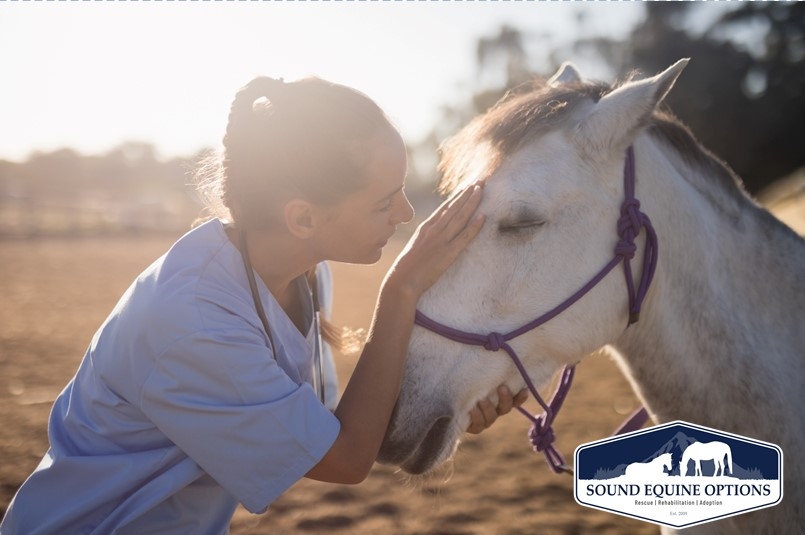 Sound Equine Options Veterinary Care Fundraiser