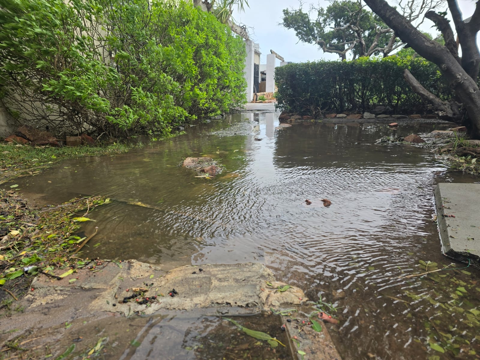 Emergency Appeal: South Africa Floods