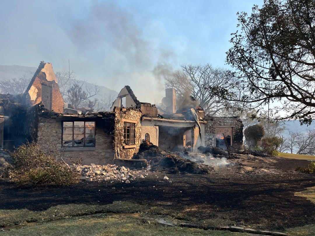 Help Wide Horizons rise from the ashes