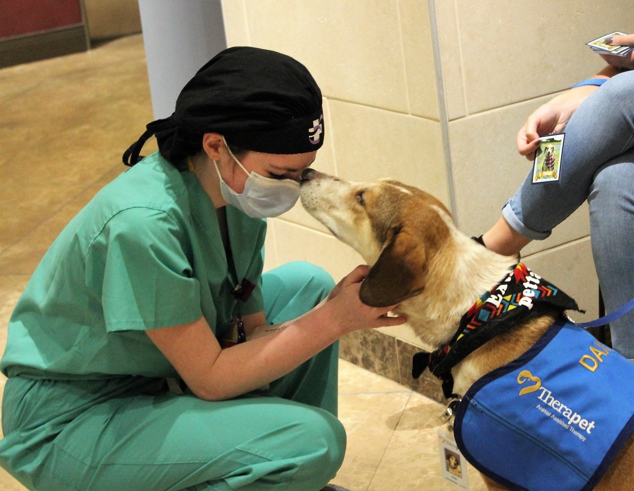 Therapet: Animal Assisted Therapy
