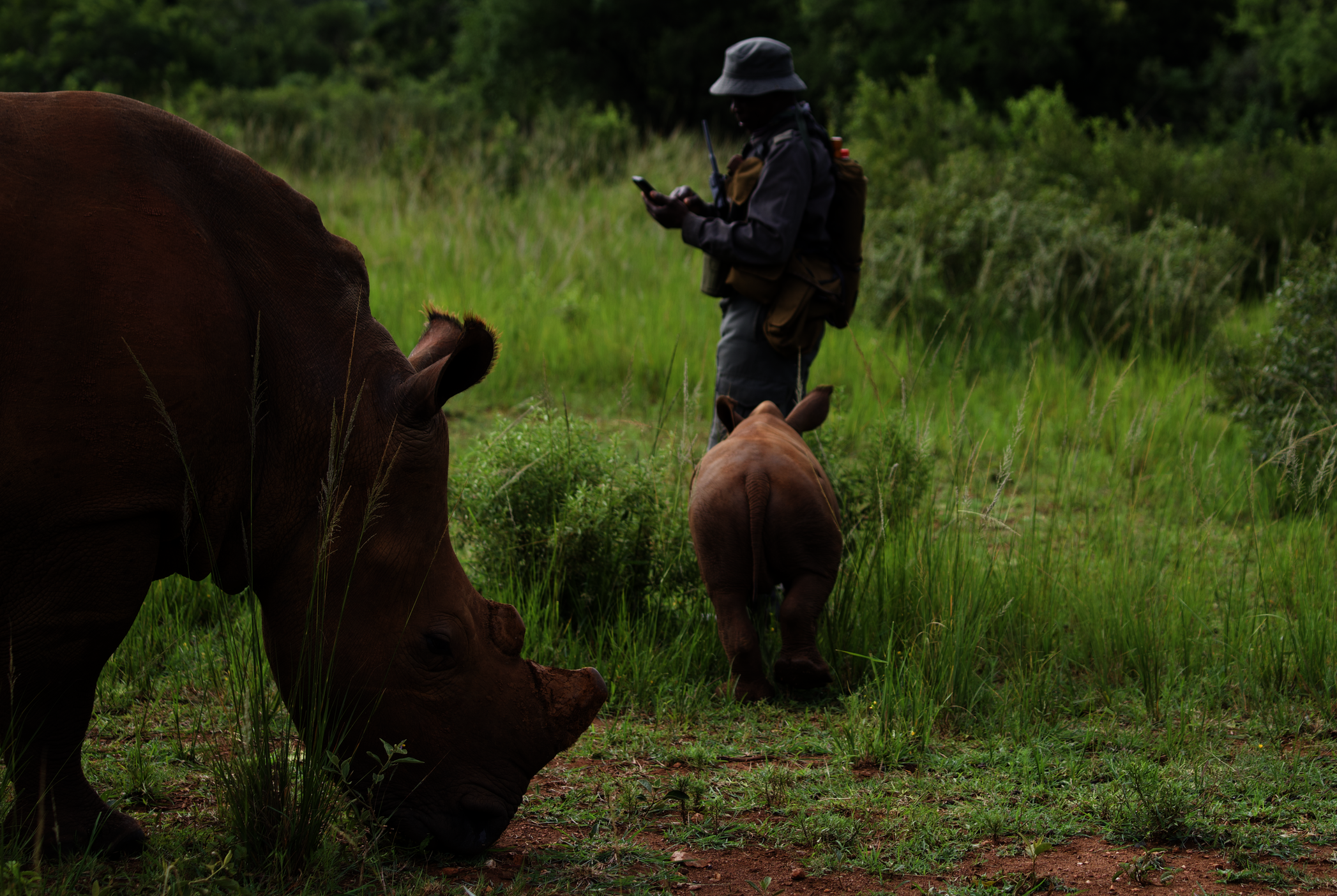 World Ranger Day 2024 - Support Rhino Rangers