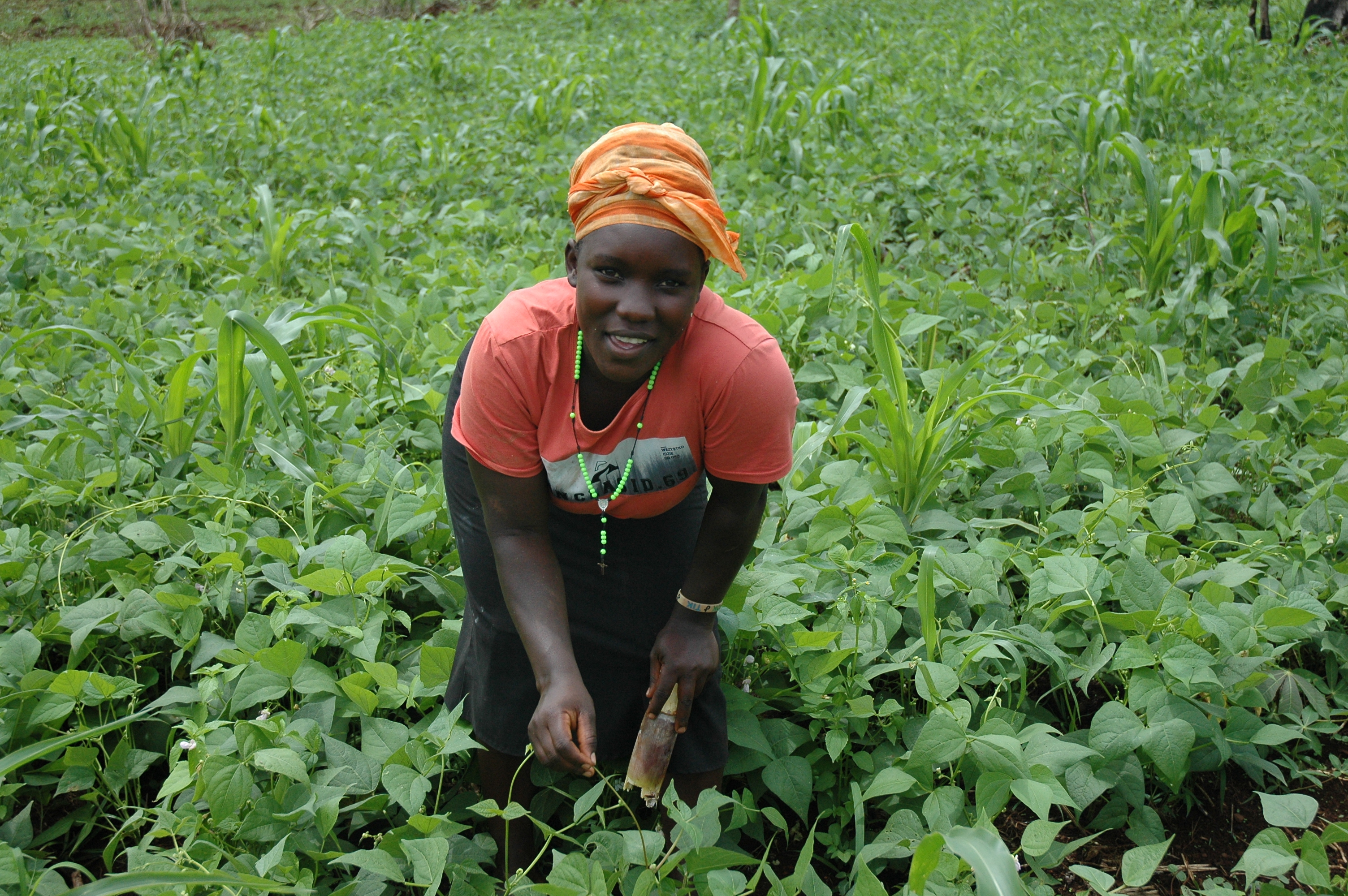Women fighting Climate Change through Agroecology