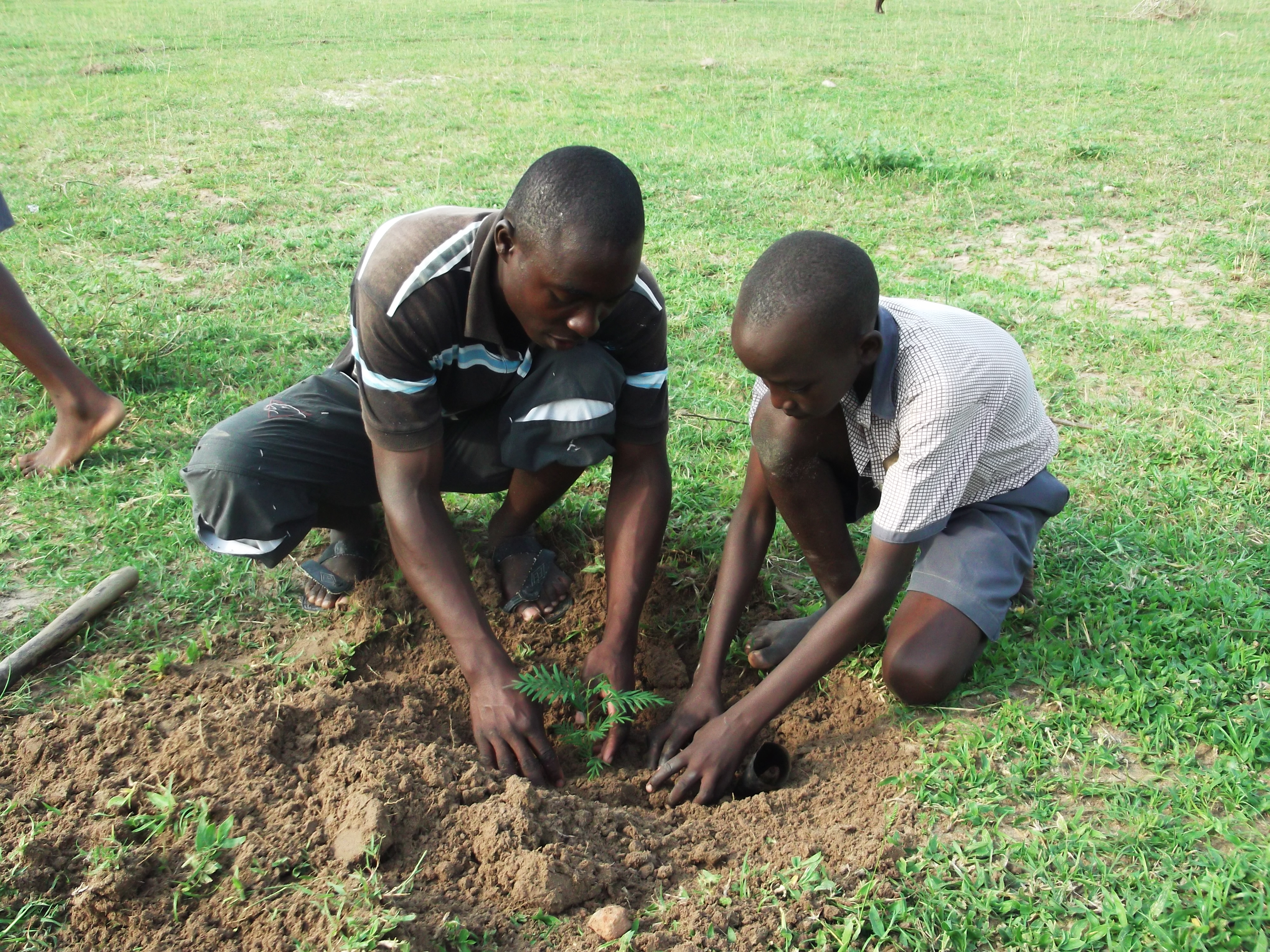 Plant 50,000 Trees In Eastern Uganda