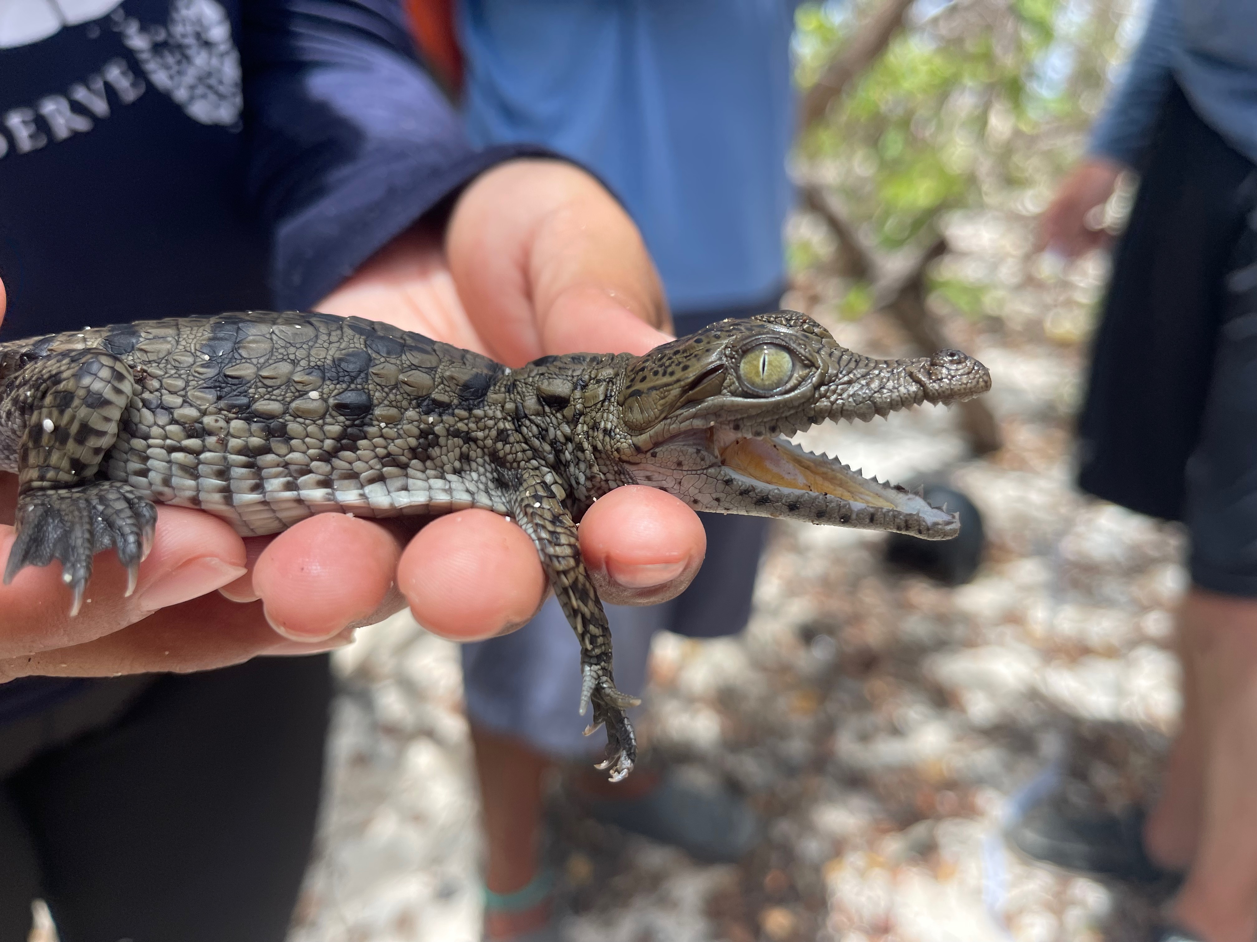 Protect and Restore Aquatic Ecosystems in Belize