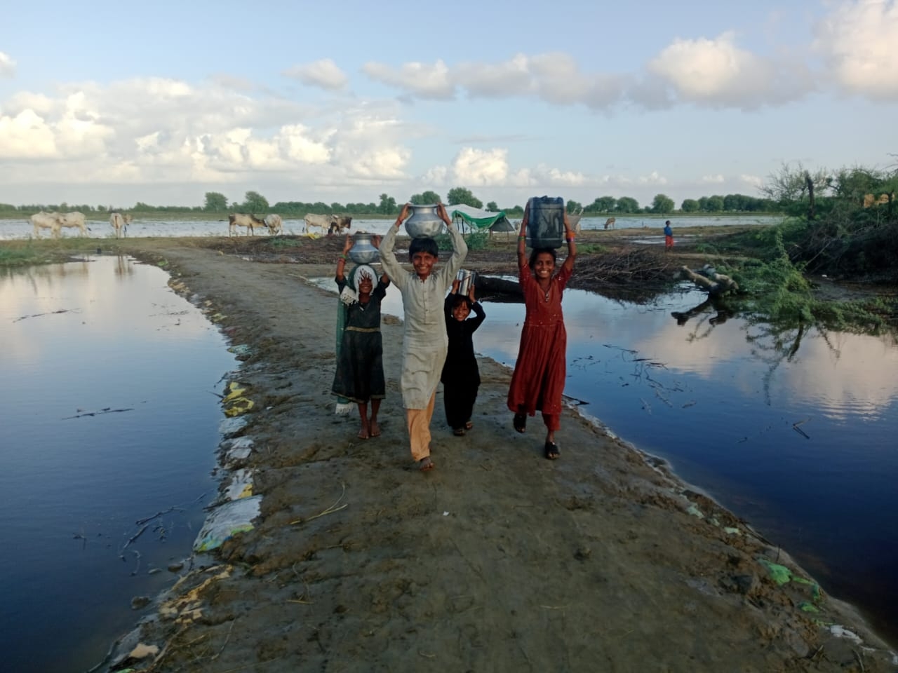 Flood Relief Response Sindh Pakistan