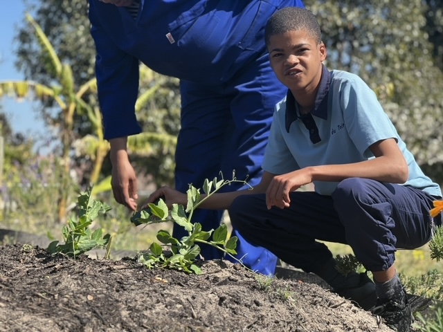 Community Vegetable Garden