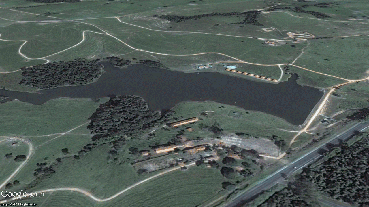 Forest Restoration in the Brazil's Atlantic Forest