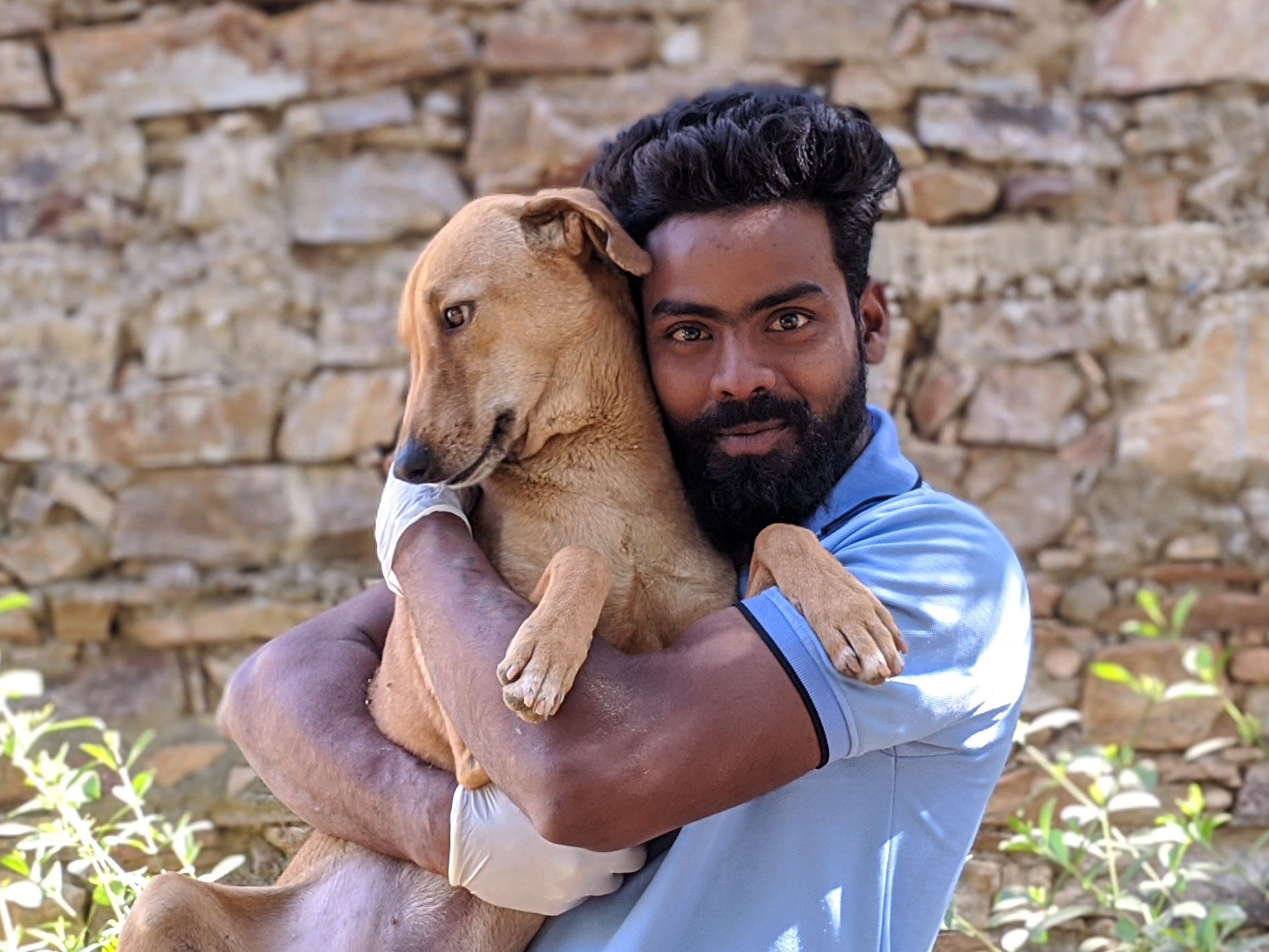 Give Disabled Dogs Lifelong Care In New Shelter