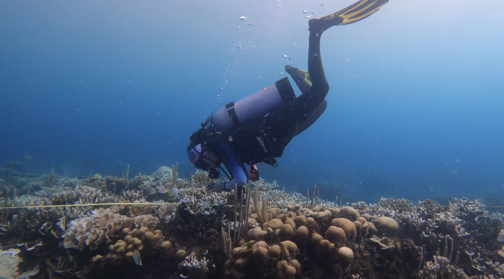 Restore the Varadero Reef Hope Spot in Colombia