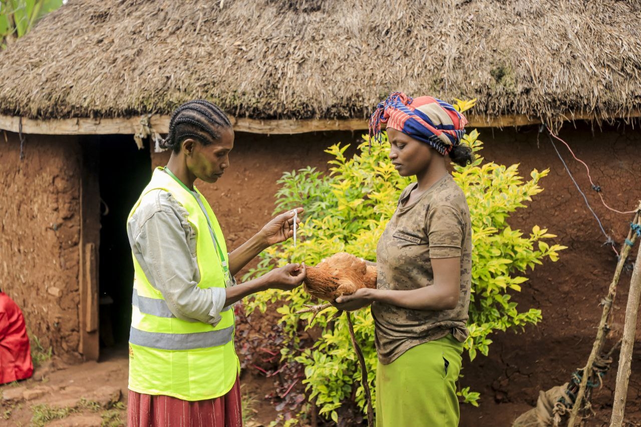 Empower Women as Poultry Health Champions
