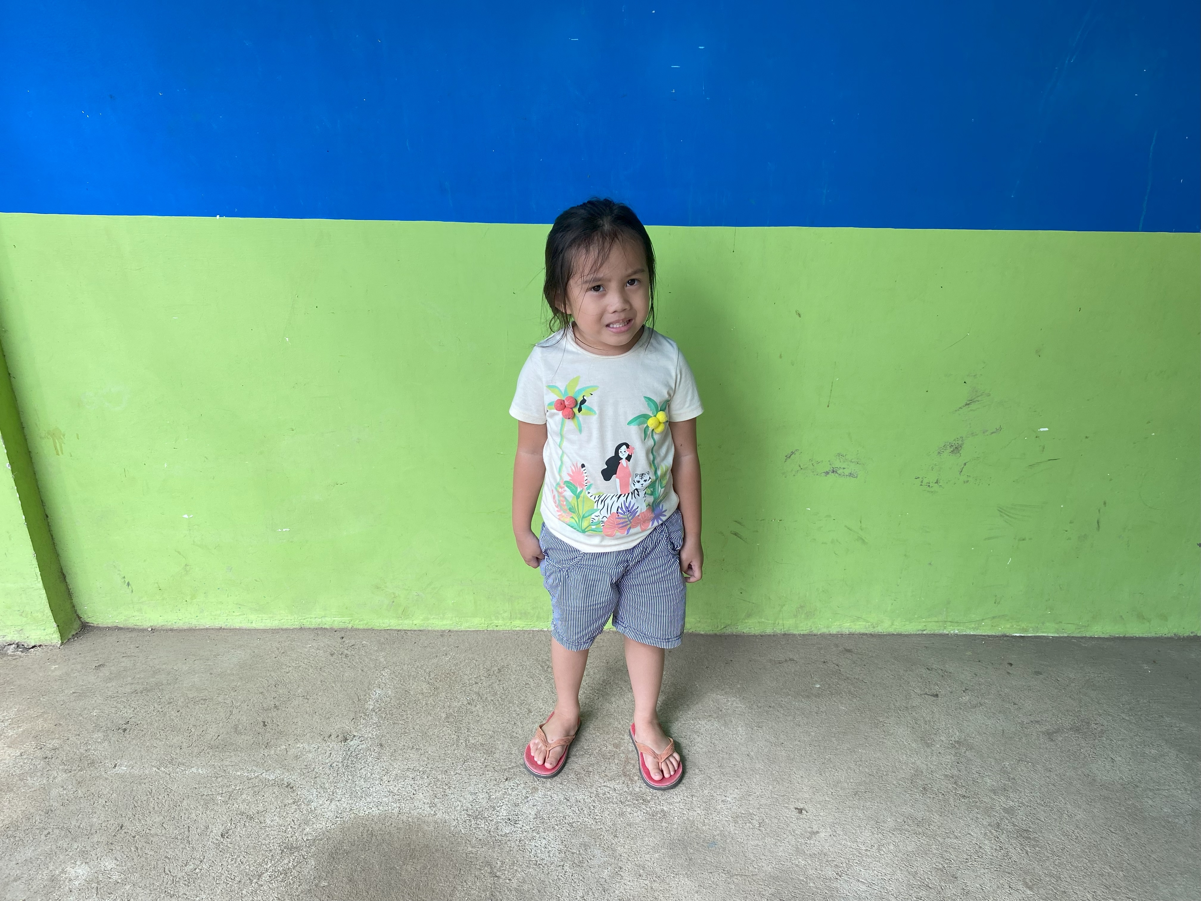 Tropical Storm Trami Relief and Recovery Project