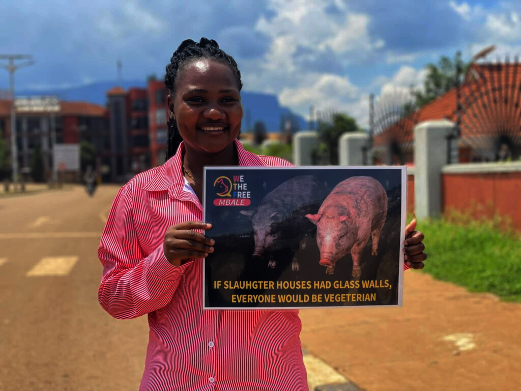Rescue & Protect Animals in Rural Uganda