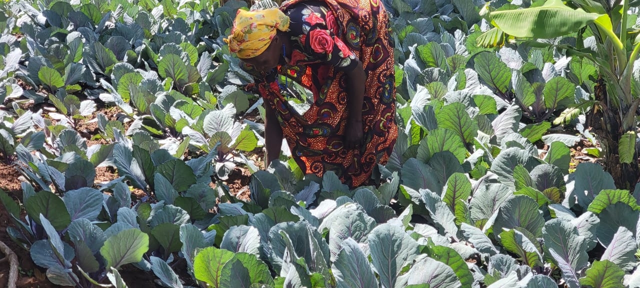 Tradition Meets Tomorrow: Fund Voices for Nature