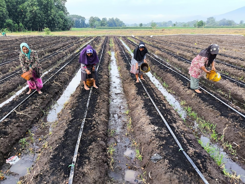 Climate Action Thai Farmers Scaling Carbon Removal