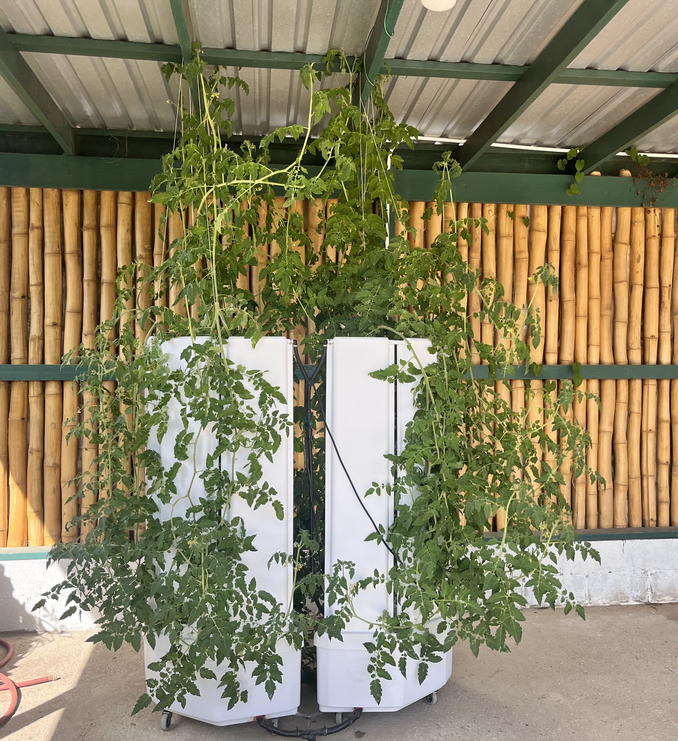 Building a Climate-Smart Zone Together