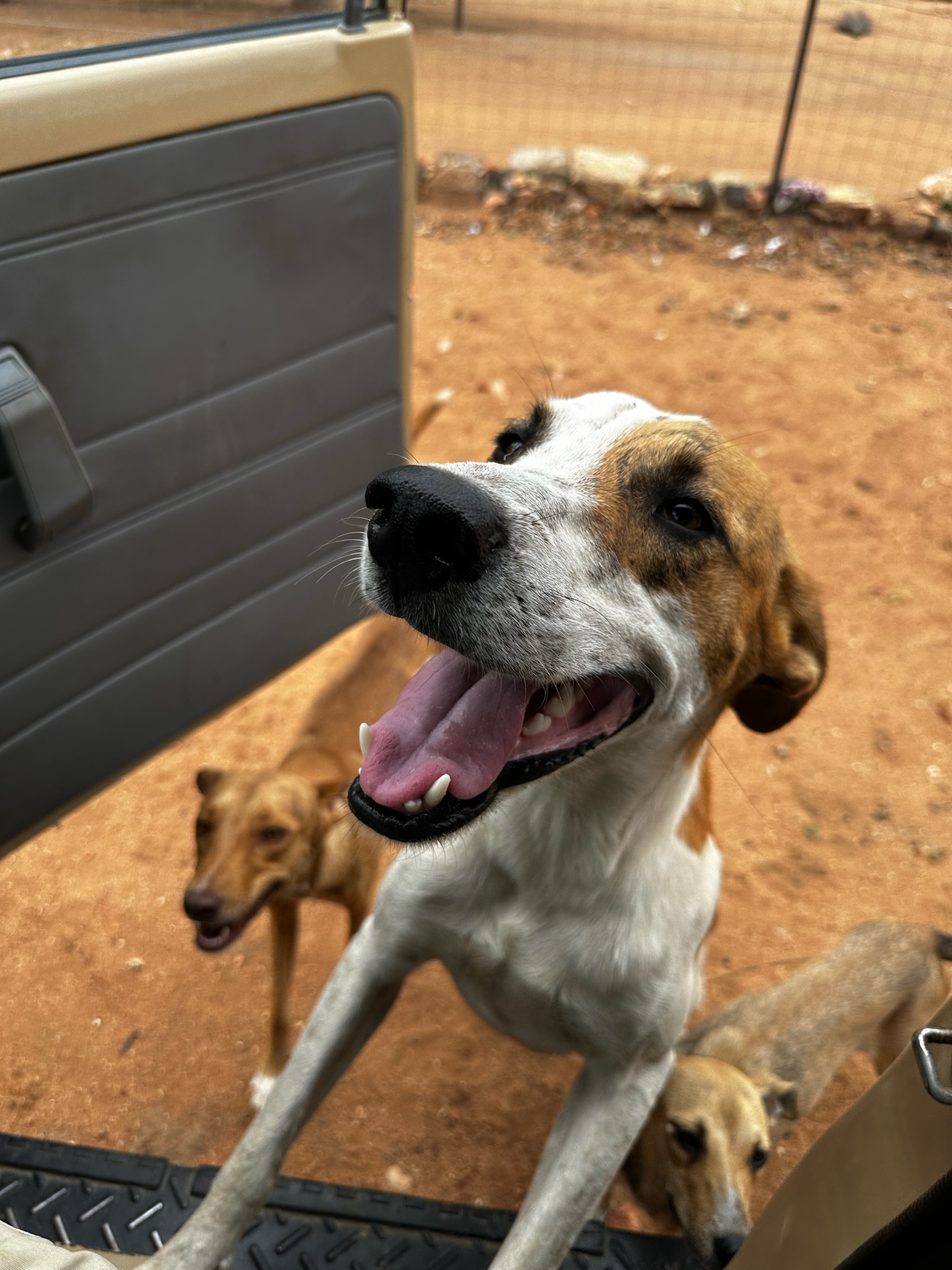Purchase an Animal rescue and education vehicle
